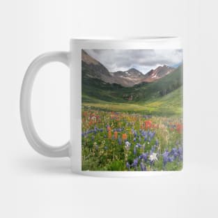 Alpine flowers in Rustler's Gulch, USA (C006/5999) Mug